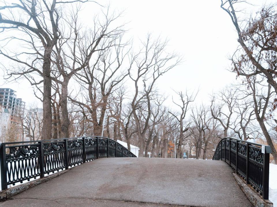 �� ����� ������ ������ ����� ���������� �����