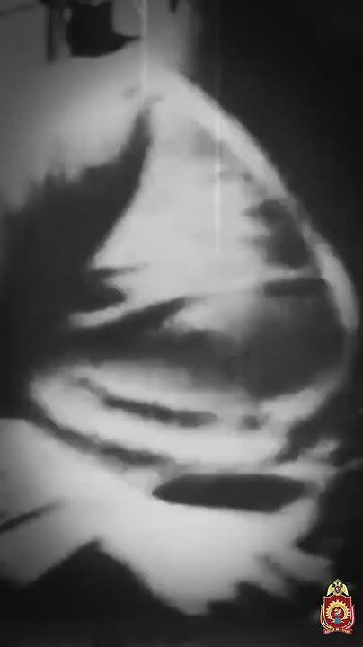 ������ �� �������� � � ����� ���, ��� ��������� #�������������