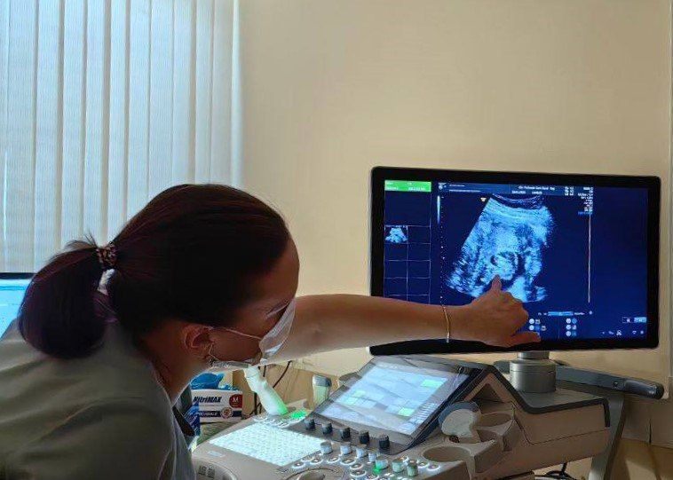 ������� ������� ���������������: ��������� ������ ������ ����� ���������