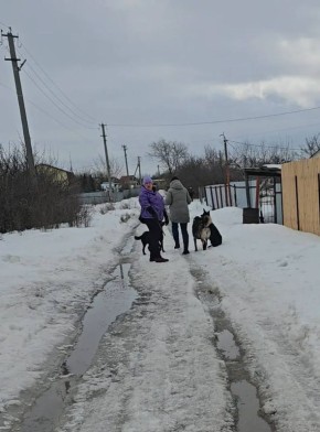 ����� �� ����� ��������� �� ����������� ��������� ������������ �������� ���������� ������������ ������������ ���������� ��� ����������, � ����� ����������� ���