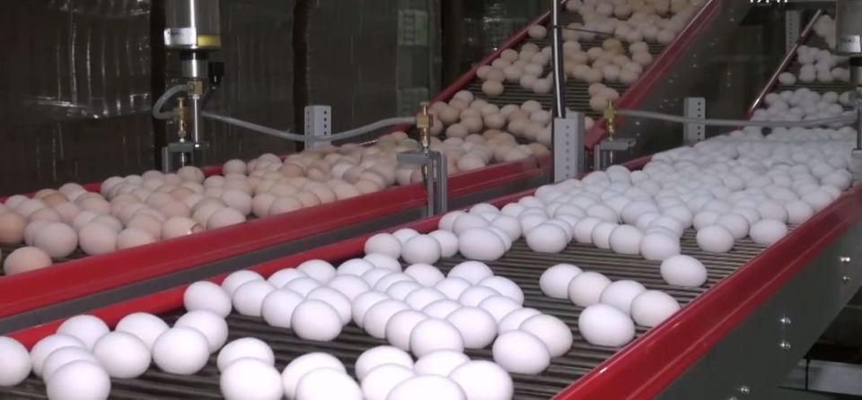 � ����������� ������� ������������� ����������� ��� �� 4%