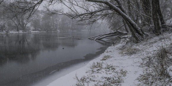 � ����������� ������� ��������� ��������, ������ � �������