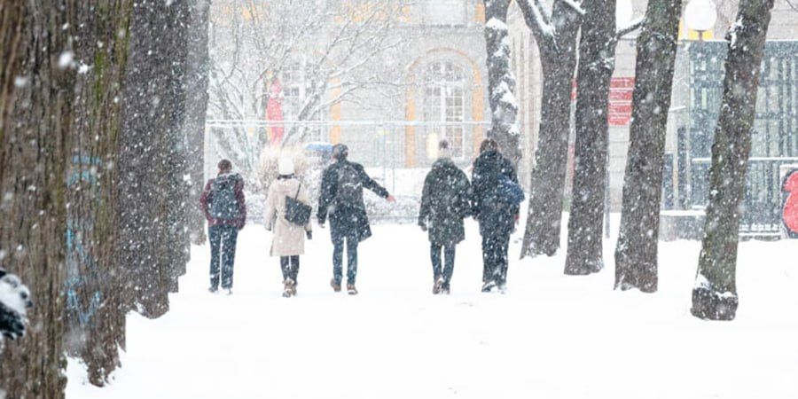Зима возвращается. В Саратовской области праздничные выходные пройдут с морозами