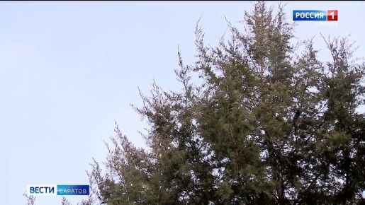 ����� �� ����� ������� �� ������ � ��������� ���?