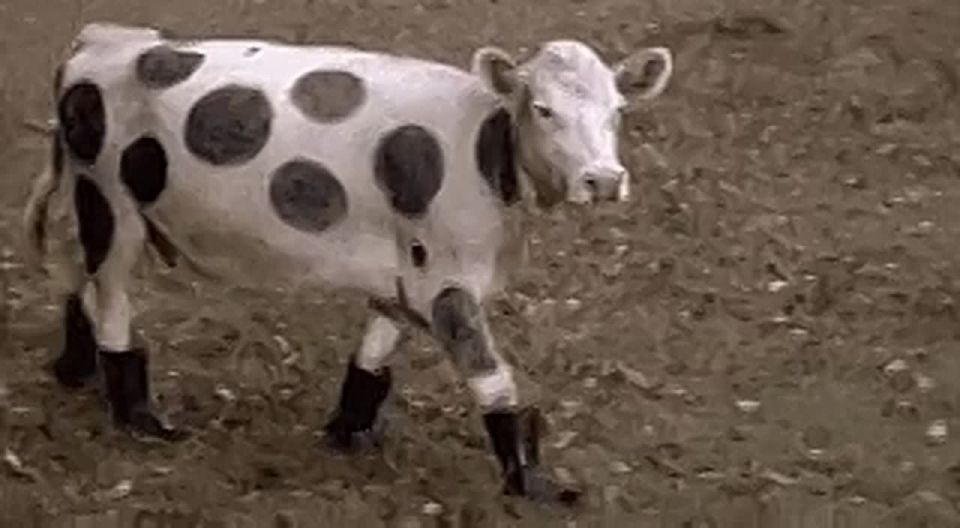 Россияне начали массово скупать резиновые сапоги