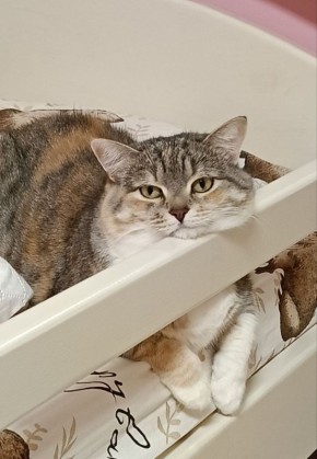 � ������� 7 ����� � ����������� ������� ����������