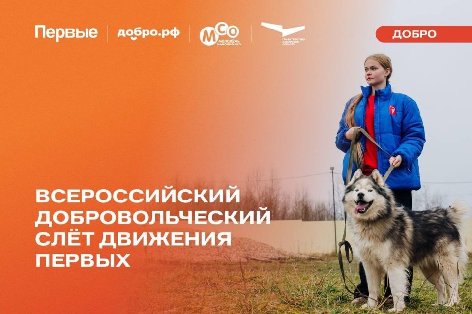 Открыта регистрация на Всероссийский добровольческий слёт Движения Первых