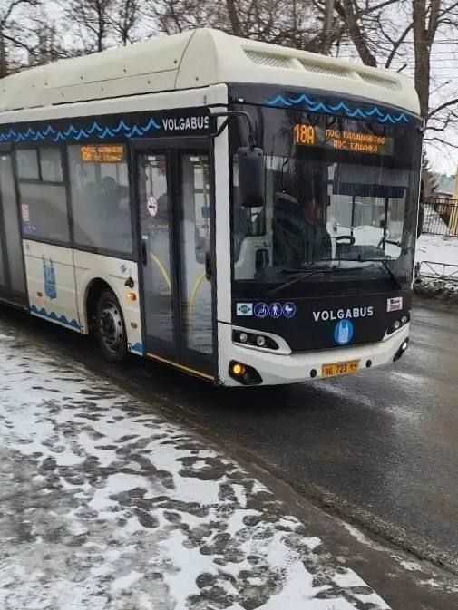 В ходе обследования выявлено 36 безбилетников