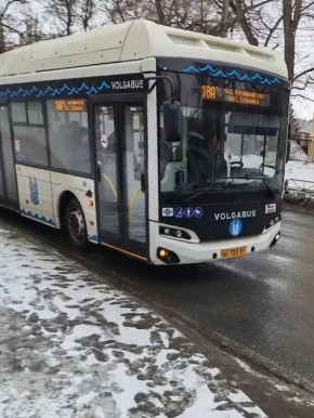 � ���� ������������ �������� 36 �������������