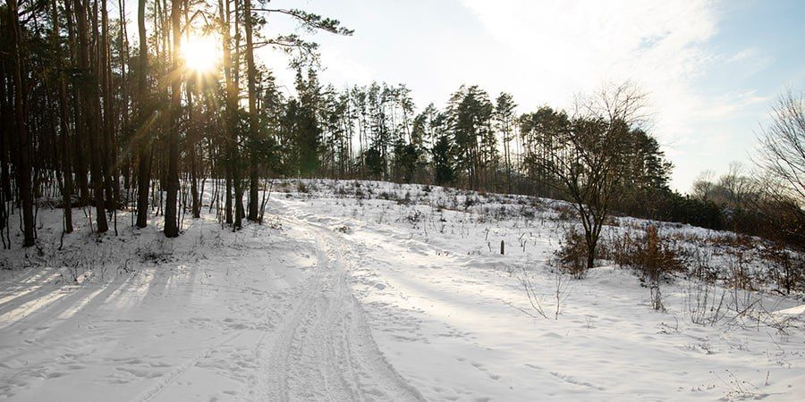 ���������� ������� ������������� ���� ��� �������