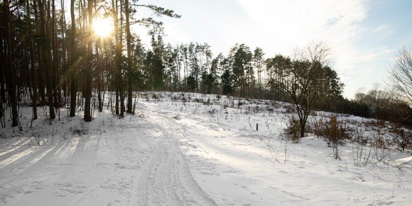 ���������� ������� ������������� ���� ��� �������