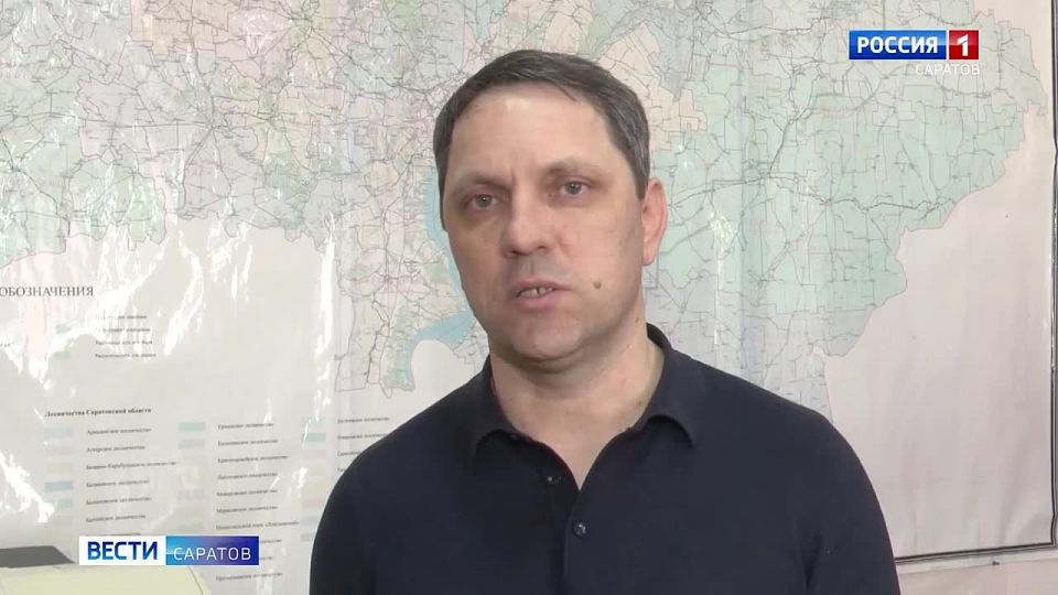 На территории Саратова продолжится реализация региональной программы по озеленению