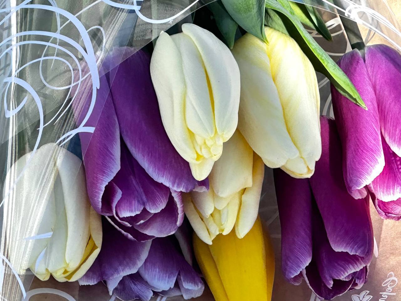 Пусть весна входит в вашу жизнь с теплом и нежностью Пусть весна входит в вашу жизнь с теплом и нежностью