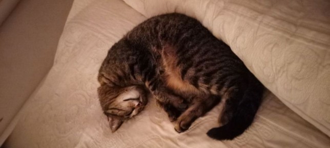 В понедельник, 9 марта, в Саратовской области начнется похолодание