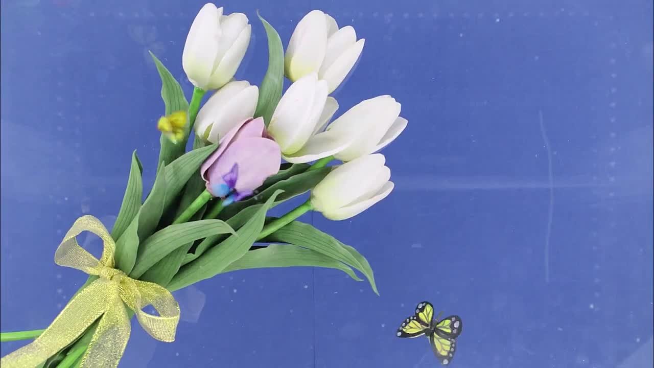 Команда проекта "МультПульс" и участники проекта поздравляют всех женщин с 8 Марта и дарят созданную на занятиях мультоткрытку!