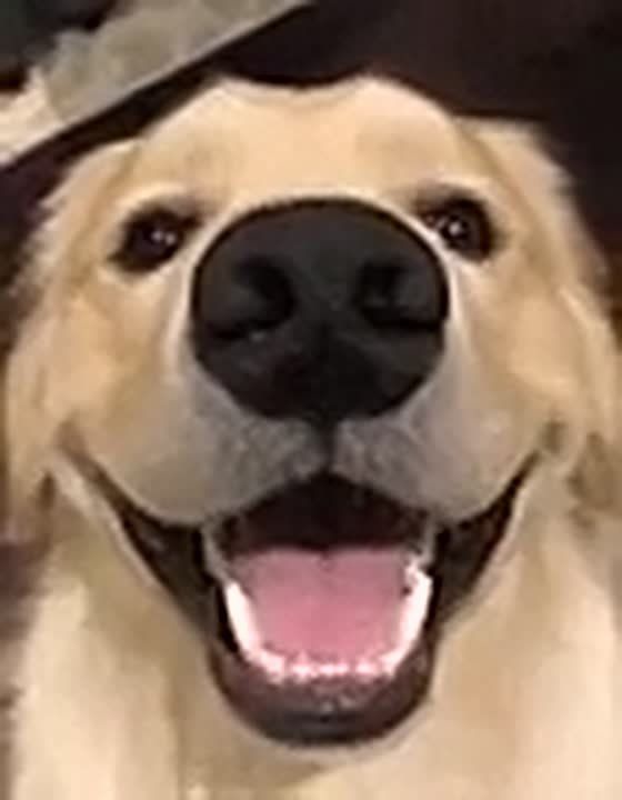 Доброе утро!. Как походят ваши праздничные выходные? Делитесь в комментариях - отдыхаю