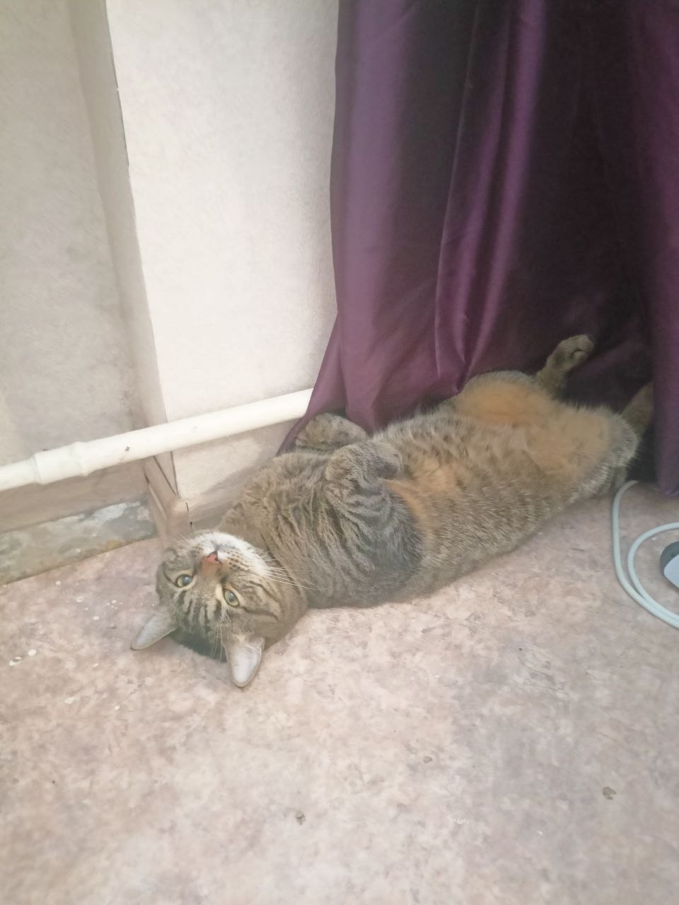 Во вторник 10 марта местами в Саратовской области ожидается метель Во вторник 10 марта местами в Саратовской области ожидается метель