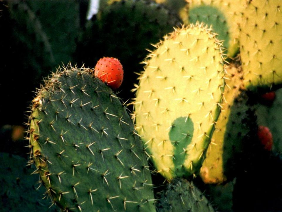 ��������� �������: ������������ ��������� ������� � �����