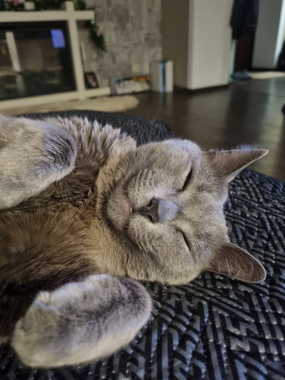 Во вторник 10 марта местами в Саратовской области ожидается метель Во вторник 10 марта местами в Саратовской области ожидается метель