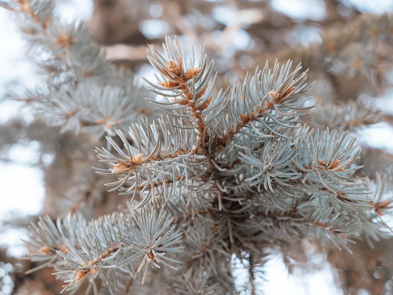 Саратовское небо – простор для мечтаний Саратовское небо – простор для мечтаний