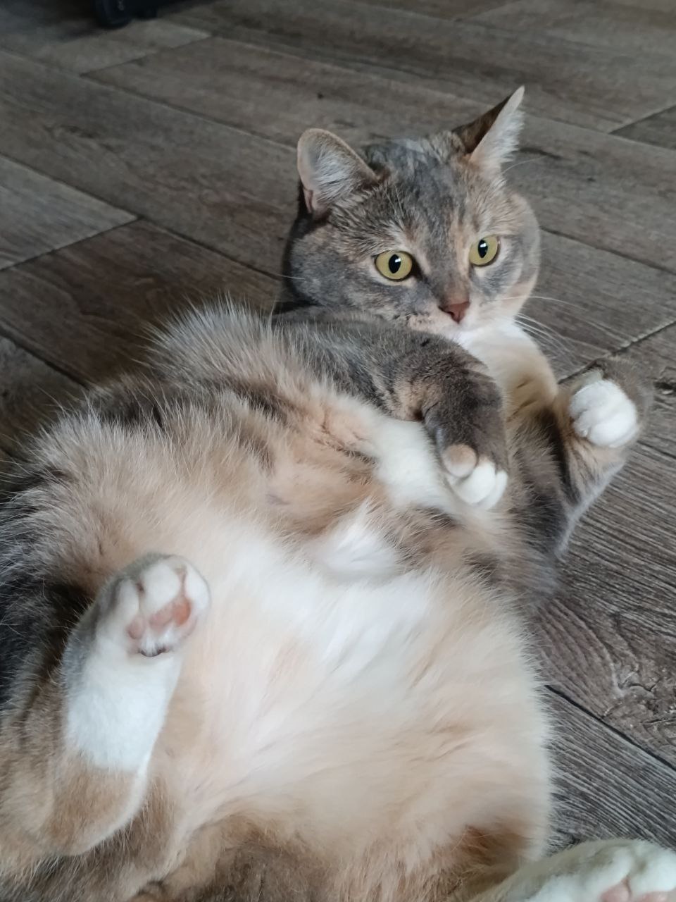 Во вторник 10 марта местами в Саратовской области ожидается метель