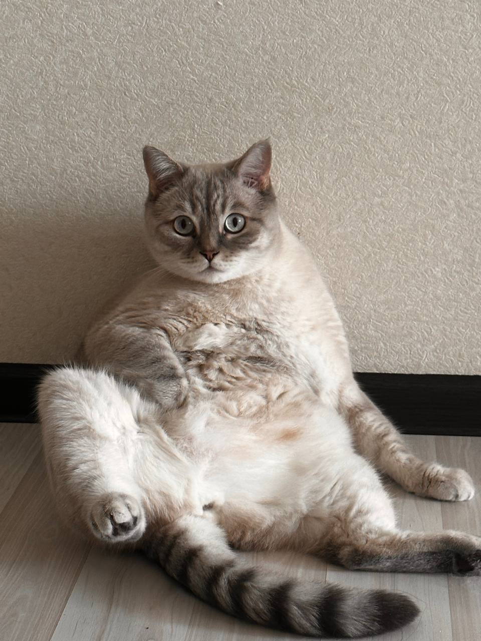 Во вторник 10 марта местами в Саратовской области ожидается метель Во вторник 10 марта местами в Саратовской области ожидается метель