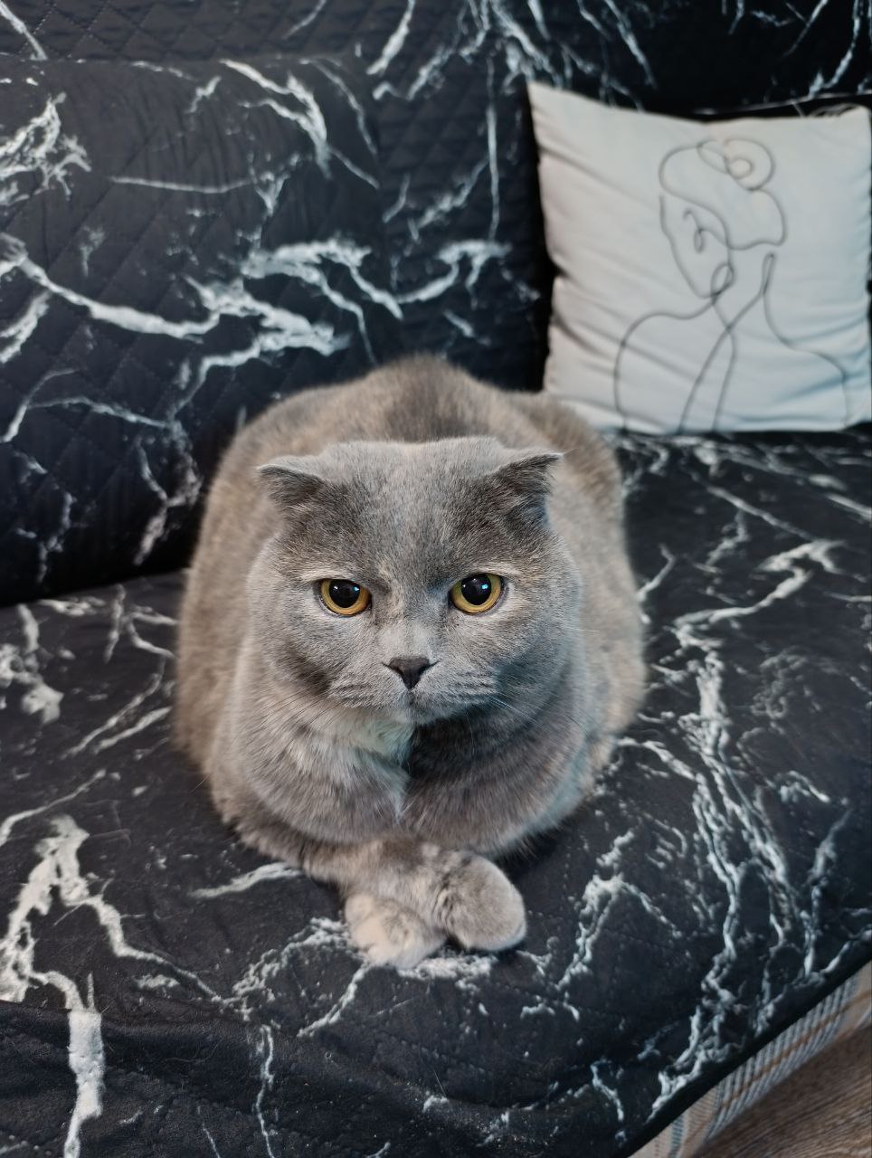 Во вторник 10 марта местами в Саратовской области ожидается метель Во вторник 10 марта местами в Саратовской области ожидается метель