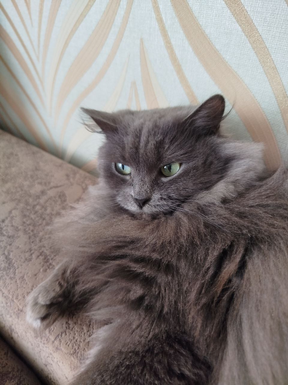 Во вторник 10 марта местами в Саратовской области ожидается метель Во вторник 10 марта местами в Саратовской области ожидается метель