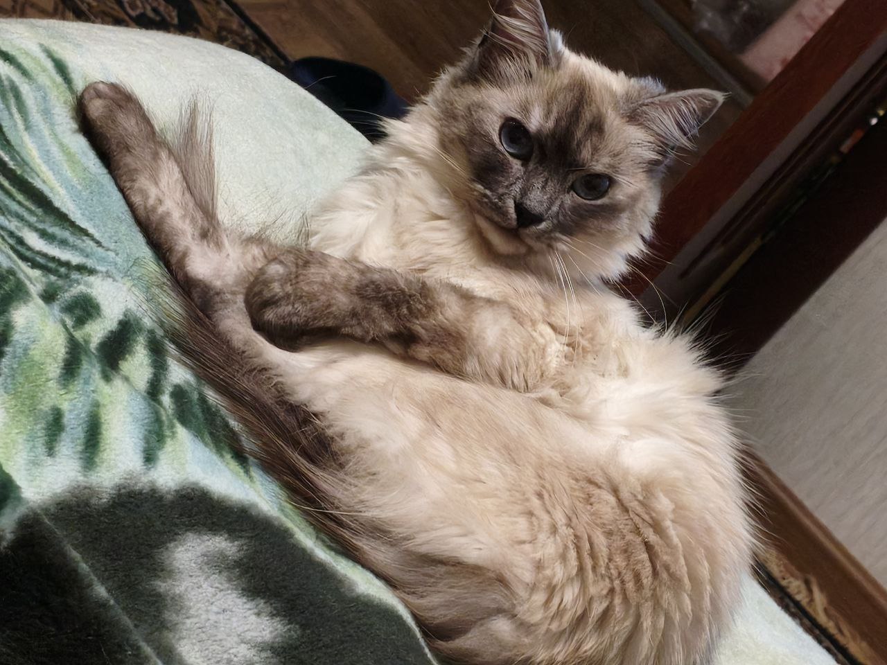 Во вторник 10 марта местами в Саратовской области ожидается метель Во вторник 10 марта местами в Саратовской области ожидается метель