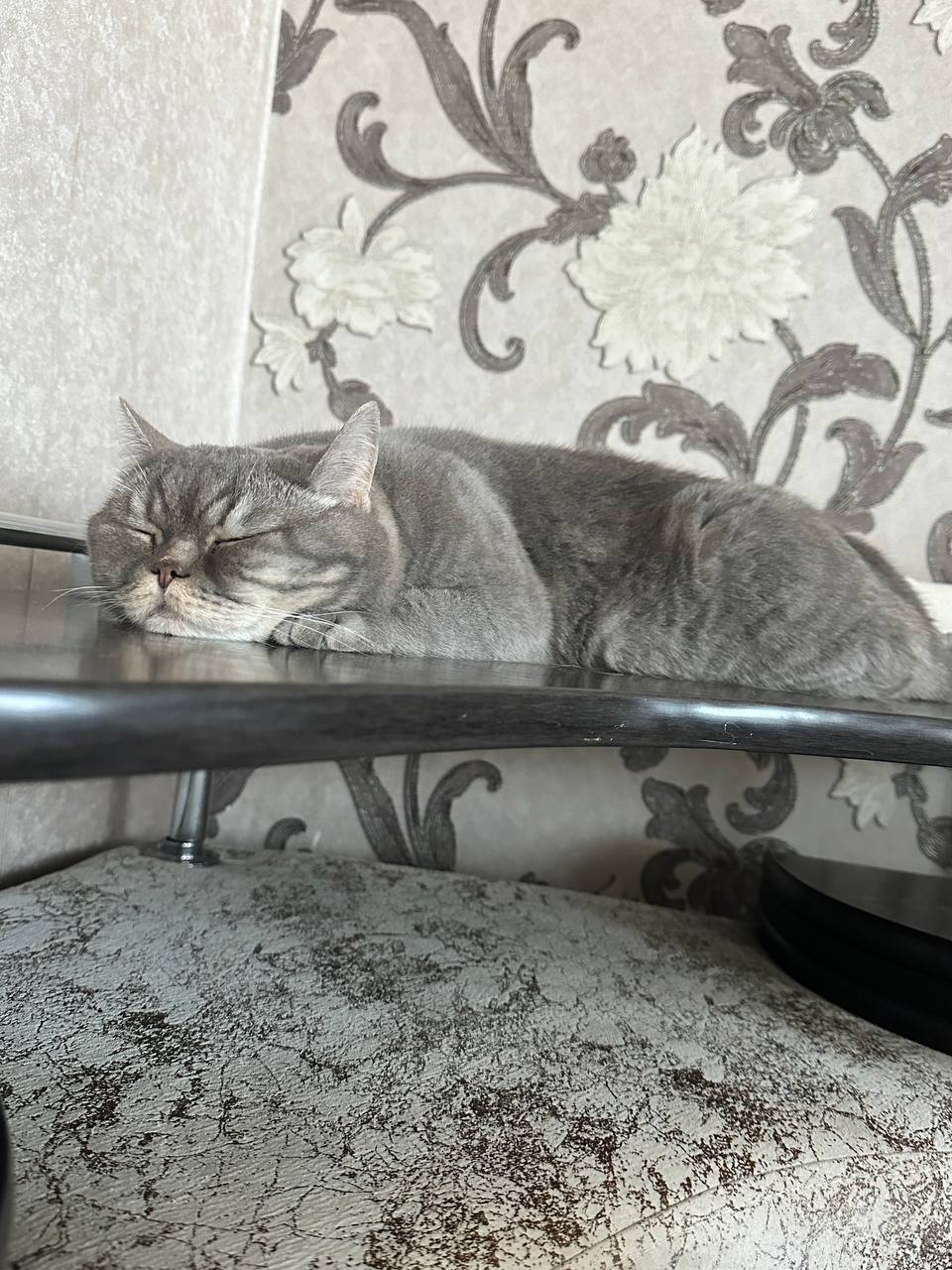 Во вторник 10 марта местами в Саратовской области ожидается метель Во вторник 10 марта местами в Саратовской области ожидается метель