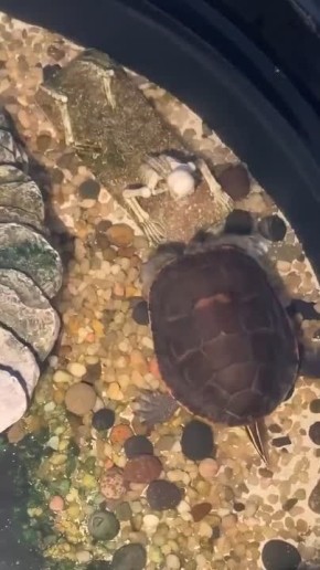 �������� � �������� ������� ����!