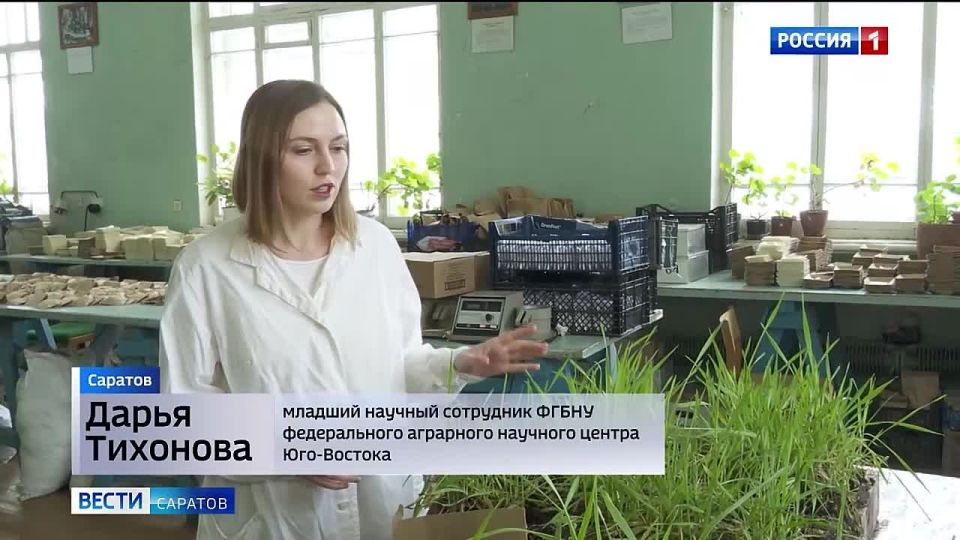 ���������� ��������� �������� ������ ���-������� ������� ������ ��������� �������