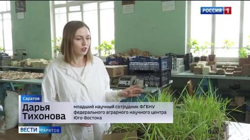 ���������� ��������� �������� ������ ���-������� ������� ������ ��������� �������