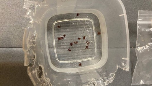 ����� � ����������� �������: ���� ����� � 2026 ����?