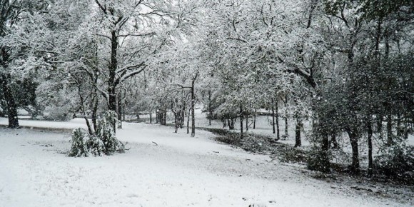 � ����������� ������� ������� ������� �� ����������� � �������