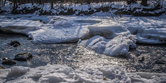 В Саратове прогнозируют потепление до +6 градусов и местами туманы