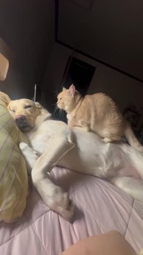 ��� ���� ����� ����� ����� ���