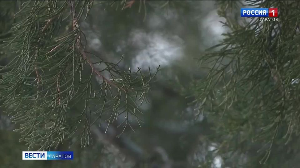 ������� � ����������� ������� ������ ����������