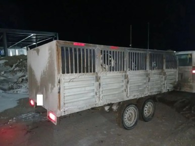 �12 �������� ����� �������� ��������� ������� �� ����������� �������