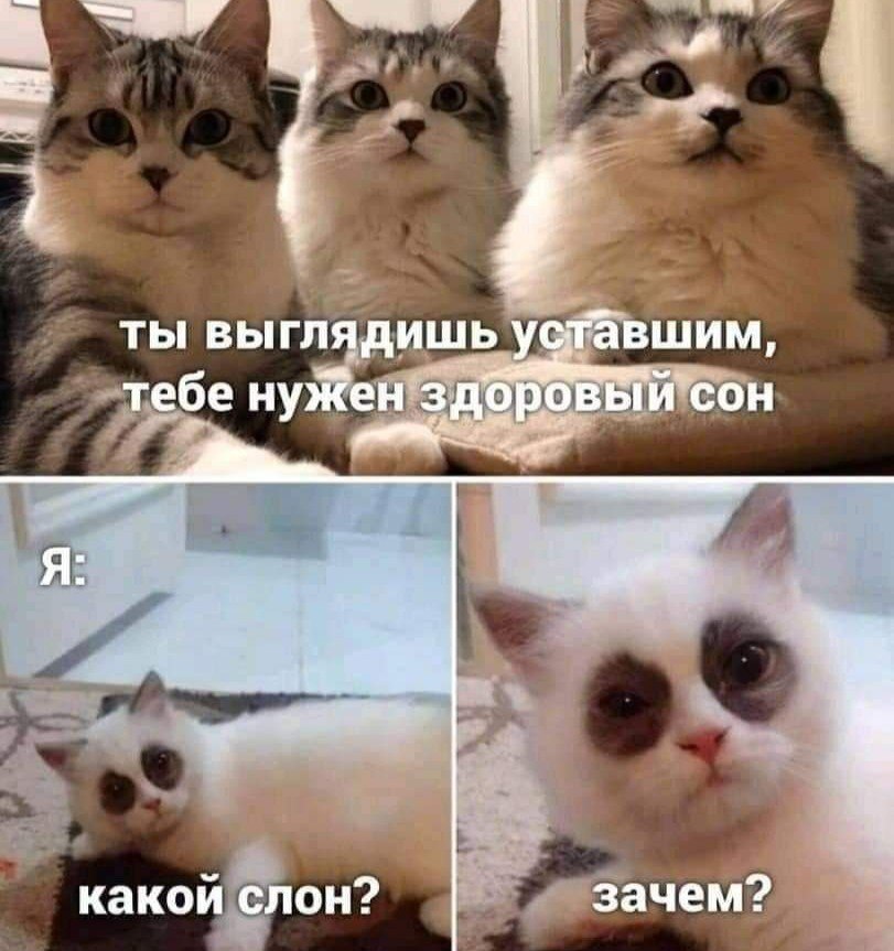 Сегодня отмечается Всемирный день сна