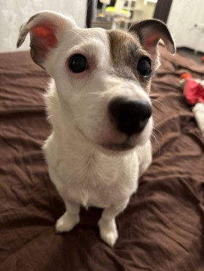 � ������� 14 ����� � ����������� ������� �������������� ���������� ����������