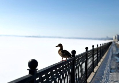 Солнышко согревает