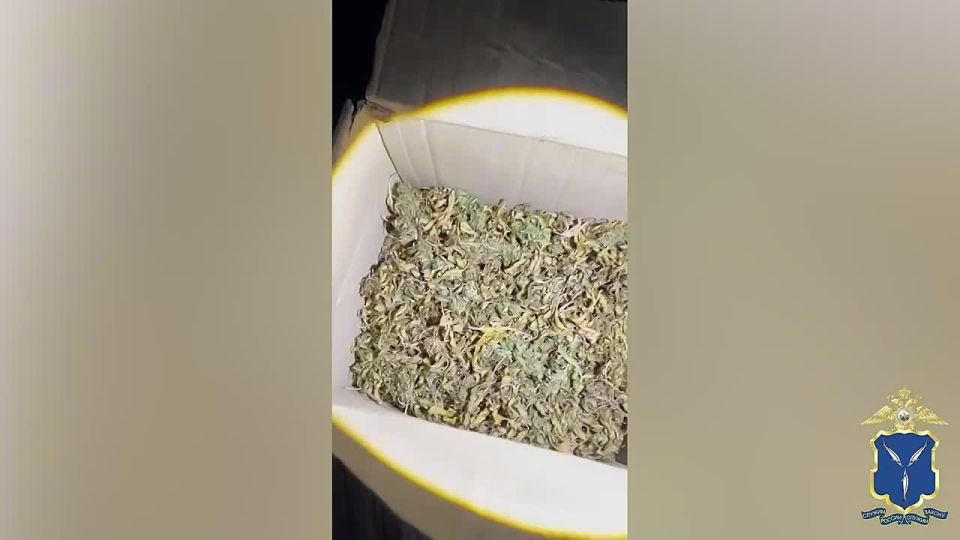 � �������� ������ �������� ������� ���������� �� ������ ������ ���� � ������� � ���������� �������