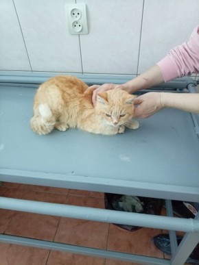 ����������� ���������� ������ ������, ���������� � �������� ������