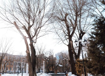 � ����� ���� ����