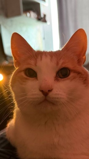 В понедельник, 16 марта, в Саратовской области синоптики прогнозируют облачную погоду с прояснениями