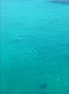 Хочется "уиии", а не этот ваш понедельник