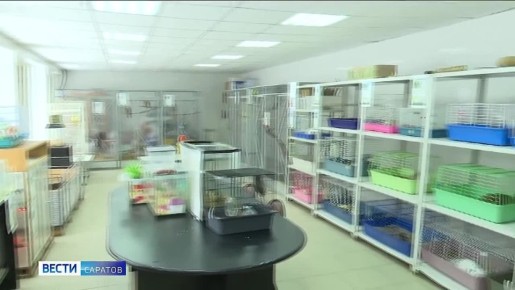 ������������ ������� ��������� � ��� ���������� ����� ������ ���������� ������ ��������, ����������� � ������� ��������� � ������ ����������� �������