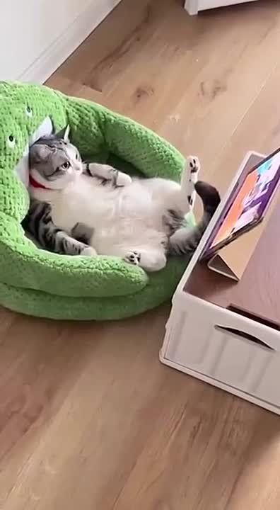 �������, ��� ��� �� ������ � �� �����!