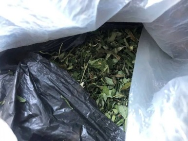 ������ ���������� ������������� � �������� ���������